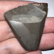 Load image into Gallery viewer, Ammolite Ammonite Gem Stone from Alberta 1.7 Inches