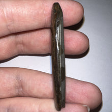 Load image into Gallery viewer, Ammolite Ammonite Gem Stone from Alberta 2.1 Inches