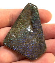 Load image into Gallery viewer, Ammolite Ammonite Gem Stone from Alberta 2 Inches