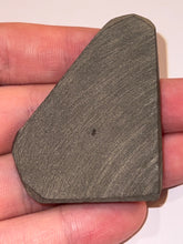 Load image into Gallery viewer, Ammolite Ammonite Gem Stone from Alberta 2 Inches