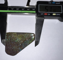 Load image into Gallery viewer, Ammolite Ammonite Gem Stone from Alberta 2 Inches