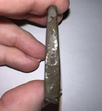 Load image into Gallery viewer, Ammolite Ammonite Gem Stone from Alberta 1.7 Inches