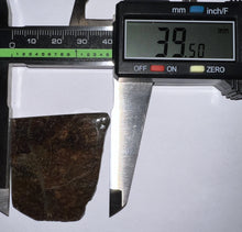 Load image into Gallery viewer, Ammolite Ammonite Gem Stone from Alberta 1.7 Inches