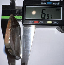 Load image into Gallery viewer, Ammolite Ammonite Gem Stone from Alberta 1.7 Inches