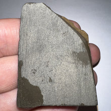 Load image into Gallery viewer, Ammolite Ammonite Gem Stone from Alberta 2.2 Inches