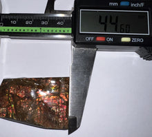 Load image into Gallery viewer, Ammolite Ammonite Gem Stone from Alberta 1.75 Inches