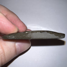 Load image into Gallery viewer, Ammolite Ammonite Gem Stone from Alberta 1.9 Inches