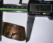 Load image into Gallery viewer, Ammolite Ammonite Gem Stone from Alberta 1.9 Inches
