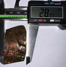 Load image into Gallery viewer, Ammolite Ammonite Gem Stone from Alberta 1.9 Inches