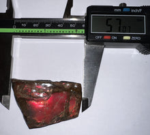 Load image into Gallery viewer, Ammolite Ammonite Gem Stone from Alberta 2.25 Inches