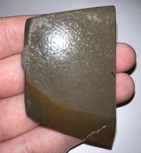 Load image into Gallery viewer, Ammolite Ammonite Gem Stone from Alberta 2.4 Inches