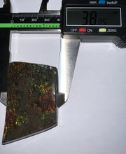 Load image into Gallery viewer, Ammolite Ammonite Gem Stone from Alberta 2.4 Inches