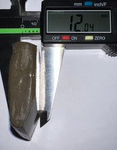 Load image into Gallery viewer, Ammolite Ammonite Gem Stone from Alberta 2.4 Inches