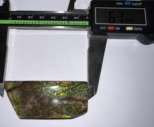 Load image into Gallery viewer, Ammolite Ammonite Gem Stone from Alberta 2.65 Inches