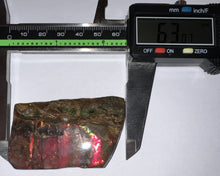 Load image into Gallery viewer, Ammolite Ammonite Gem Stone from Alberta 2.5 Inches