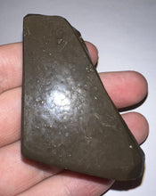 Load image into Gallery viewer, Ammolite Ammonite Gem Stone from Alberta 2.3 Inches