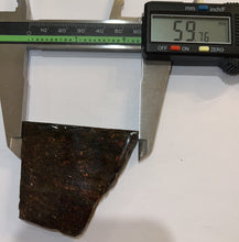 Load image into Gallery viewer, Ammolite Ammonite Gem Stone from Alberta 2.35 Inches