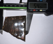 Load image into Gallery viewer, Ammolite Ammonite Gem Stone from Alberta 2.35 Inches