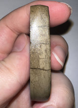 Load image into Gallery viewer, Ammolite Ammonite Gem Stone from Alberta 2.5 Inches