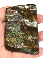 Load image into Gallery viewer, Ammolite Ammonite Gem Stone from Alberta 3.3 Inches