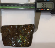 Load image into Gallery viewer, Ammolite Ammonite Gem Stone from Alberta 3.3 Inches