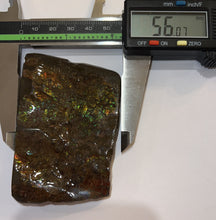 Load image into Gallery viewer, Ammolite Ammonite Gem Stone from Alberta 3.3 Inches
