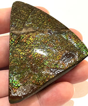 Load image into Gallery viewer, Ammolite Ammonite Gem Stone from Alberta 3.1 Inches