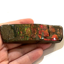 Load image into Gallery viewer, Ammolite Ammonite Gem Stone from Alberta 3.85 Inches
