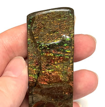 Load image into Gallery viewer, Ammolite Ammonite Gem Stone from Alberta 3.85 Inches