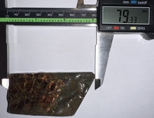 Load image into Gallery viewer, Ammolite Ammonite Gem Stone from Alberta 3.1 Inches