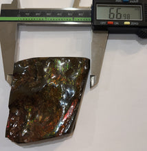 Load image into Gallery viewer, Ammolite Ammonite Gem Stone from Alberta 2.9 Inches