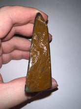 Load image into Gallery viewer, Ammolite Ammonite Gem Stone from Alberta 3 Inches