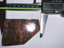 Load image into Gallery viewer, Ammolite Ammonite Gem Stone from Alberta 3 Inches
