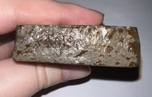 Load image into Gallery viewer, Ammolite Ammonite Gem Stone from Alberta 3 Inches