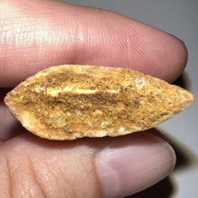 Load image into Gallery viewer, Carcharodontosaur Fossil Tooth 1.83 Inches No Repair