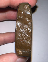 Load image into Gallery viewer, Ammolite Ammonite Gem Stone from Alberta with Mosasaur Bite Marks 2.15 Inches