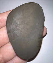 Load image into Gallery viewer, Ammolite Ammonite Gem Stone from Alberta 2.7 Inches