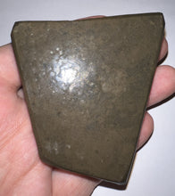 Load image into Gallery viewer, Ammolite Ammonite Gem Stone from Alberta with Mosasaur Bite Marks 3.1 Inches