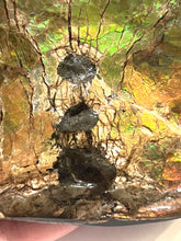 Load image into Gallery viewer, Ammolite Ammonite Gem Stone from Alberta with Mosasaur Bite Marks 4.3 Inches