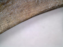 Load image into Gallery viewer, GEM Suchomimus Large Serrated Fossil Tooth VERY RARE!! 2.22 Inches!