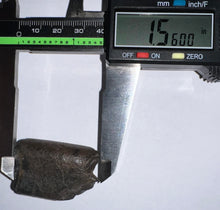 Load image into Gallery viewer, Ice Age Fossil Ground Sloth Megalonyx Tooth 1.56 Inches