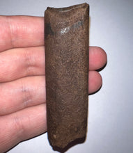 Load image into Gallery viewer, GEM Rare Large Ice Age Fossil Ground Sloth Paramylodon Tooth 2.9 Inches