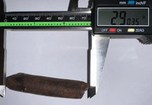 Load image into Gallery viewer, GEM Rare Large Ice Age Fossil Ground Sloth Paramylodon Tooth 2.9 Inches