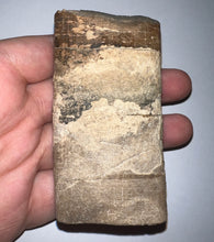 Load image into Gallery viewer, Rare Ice Age Fossil Giant Ground Sloth Eremotherium Huge Partial Tooth 3.33 Inches