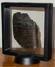 Load image into Gallery viewer, Rare Ice Age Fossil Giant Ground Sloth Eremotherium Huge Partial Tooth 2.8 Inches