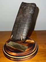 Load image into Gallery viewer, Rare ENORMOUS Ice Age Fossil Giant Ground Sloth Eremotherium Partial Tooth 4.42 Inches