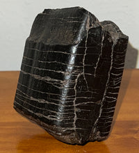 Load image into Gallery viewer, Rare Huge Ice Age Fossil Giant Ground Sloth Eremotherium Tooth 3.15 Inches