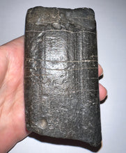 Load image into Gallery viewer, GEM Rare HUGE Ice Age Fossil Giant Ground Sloth Eremotherium Tooth 3.82 Inches