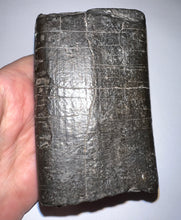 Load image into Gallery viewer, GEM Rare ENORMOUS Ice Age Fossil Giant Ground Sloth Eremotherium Tooth 4.73 Inches