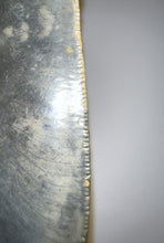 Load image into Gallery viewer, Monster Size Megalodon Fossil Shark Tooth 6.123 Inches Fantastic Serrations! Not Repaired!